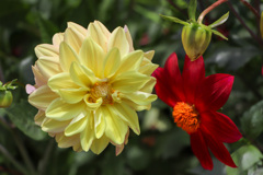 3FEEF045-240D-4962-A821-3CDBFCA79267