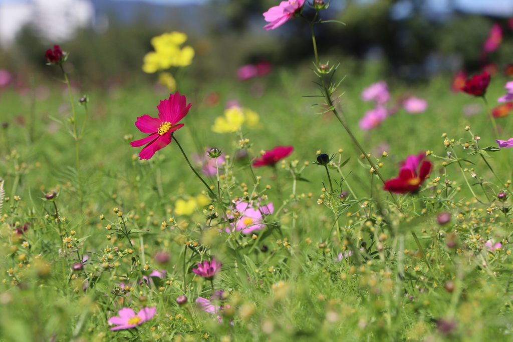 344AC121-4B22-458B-B3D0-C5379B01782A