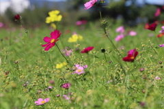 344AC121-4B22-458B-B3D0-C5379B01782A