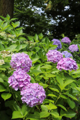 4C59B11F-26EB-423D-8554-2A85DE54D711