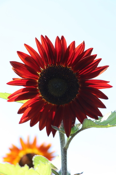 90C43DE2-1016-4A45-9BAD-07FF0AFB3535