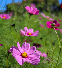 FE4E0DDF-6D7F-46AA-92D3-A0CC9789C758