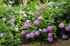 53BCADE4-FD14-4999-8024-BDC6FE1A400E