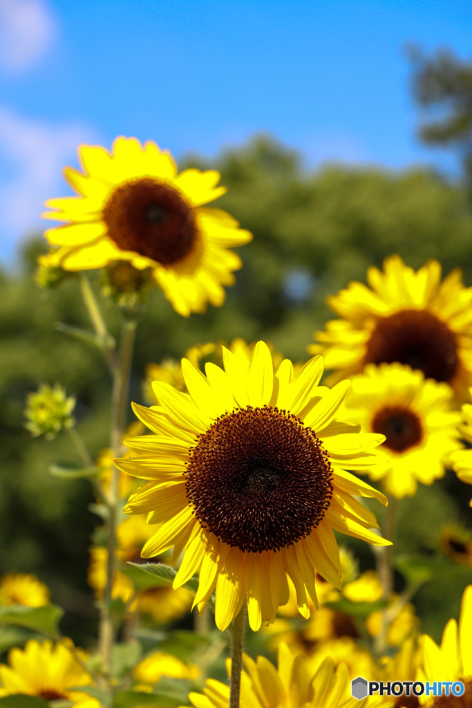 80F29A3D-8205-4DA1-A620-621F21CB9FD1