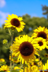 80F29A3D-8205-4DA1-A620-621F21CB9FD1