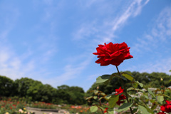 6EC9E565-9960-48D8-9ED0-DFCD6C22D882