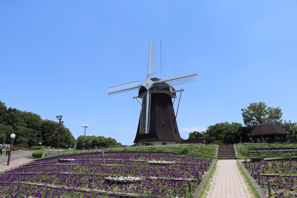 花博　風車