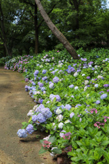 BAC7D755-3B8E-488A-962F-F4B115B06553