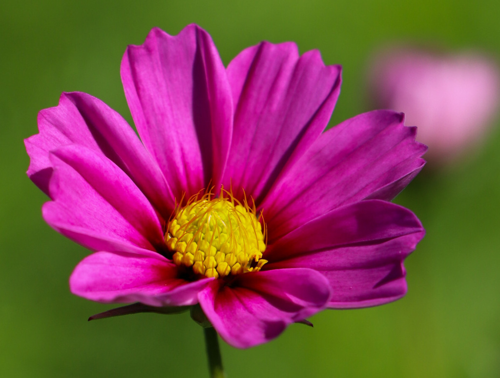 1B27E298-2ECB-4776-9033-8882089DBBDE