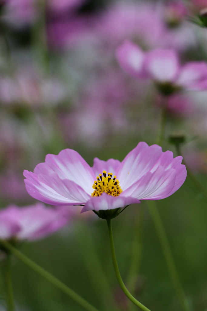 9180401C-A71C-4982-9A0B-506E2F900AE3