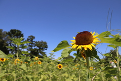 C8E994D5-FF9D-40BD-8B1E-DBDB3E939C63