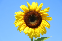 68E59F0C-BCBE-4F02-8637-BD1CB0D72DF8