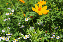 C1ED0980-0826-4DA9-8D29-C594261EFD39