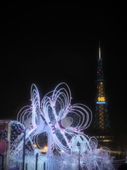今更ながら～2024.12.08の大通公園