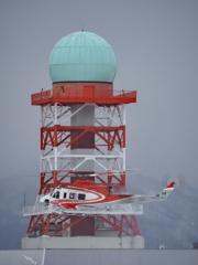 2024.12.15の大きなタマネギ