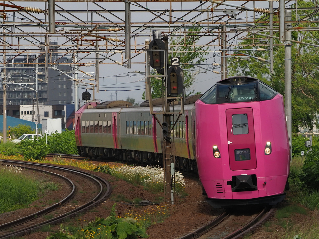 はまなすな宗谷