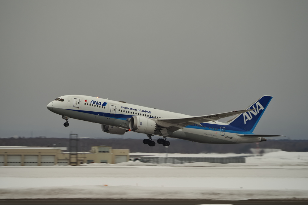 DreamLiner