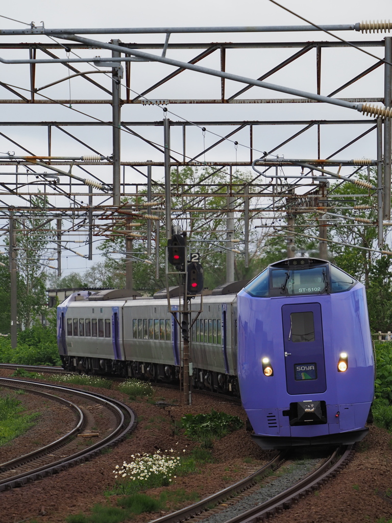 2022.05.29の撮り鉄な朝～ラベンダーな宗谷