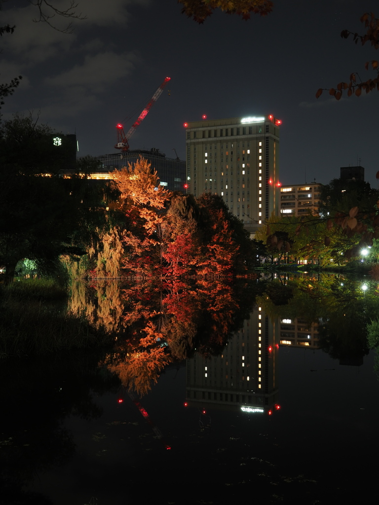 出し忘れ・・・2024.10.29の中島公園