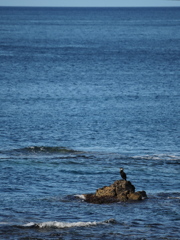 MarkⅡで最後の１枚