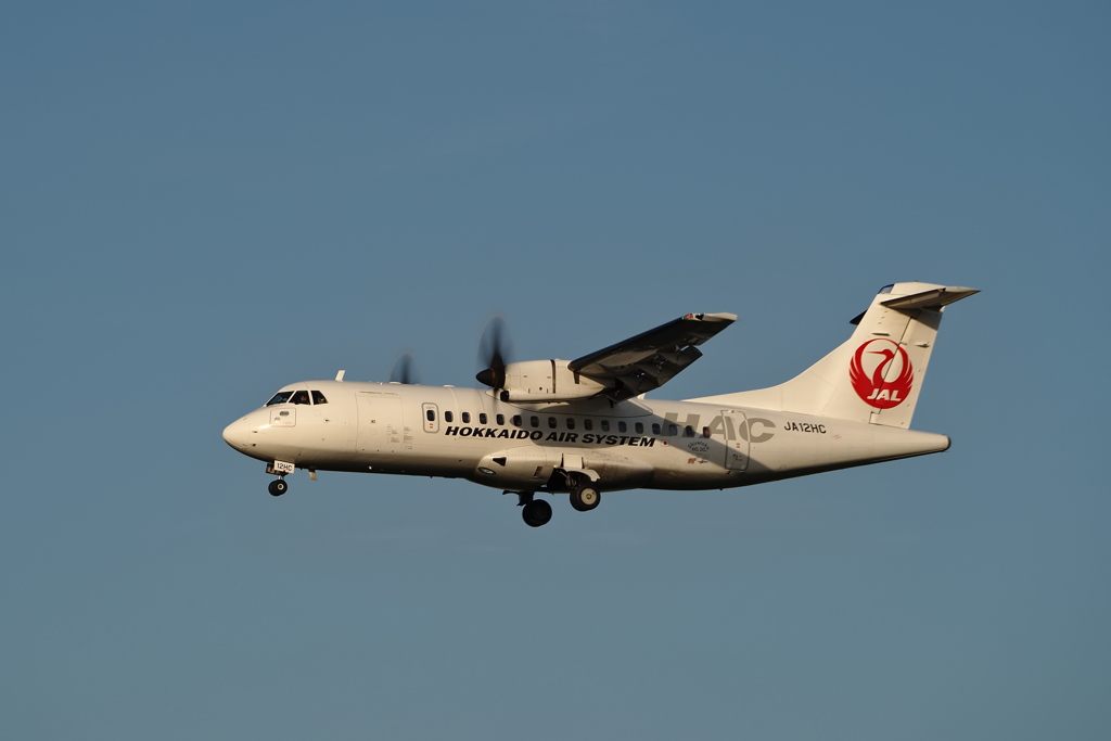 夕陽を浴びて着陸