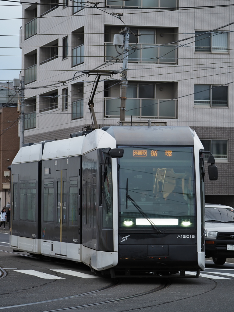 雪が積もる前・・・。