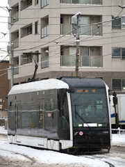 とある日のシリウス