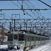 雪付けて