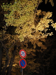 2024.10.26北大金葉祭