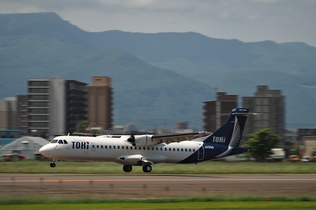 2023.06.11の降りてきた朱鷺