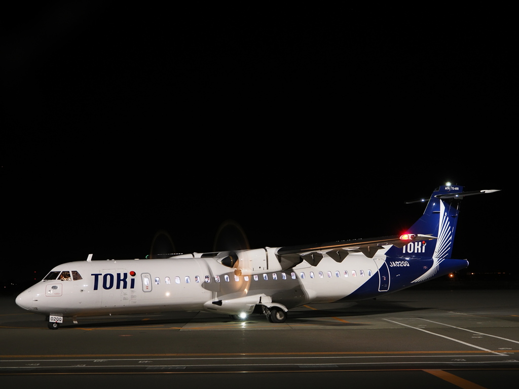 夜の朱鷺