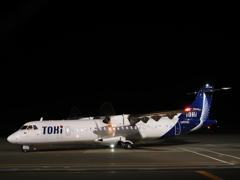 夜の朱鷺