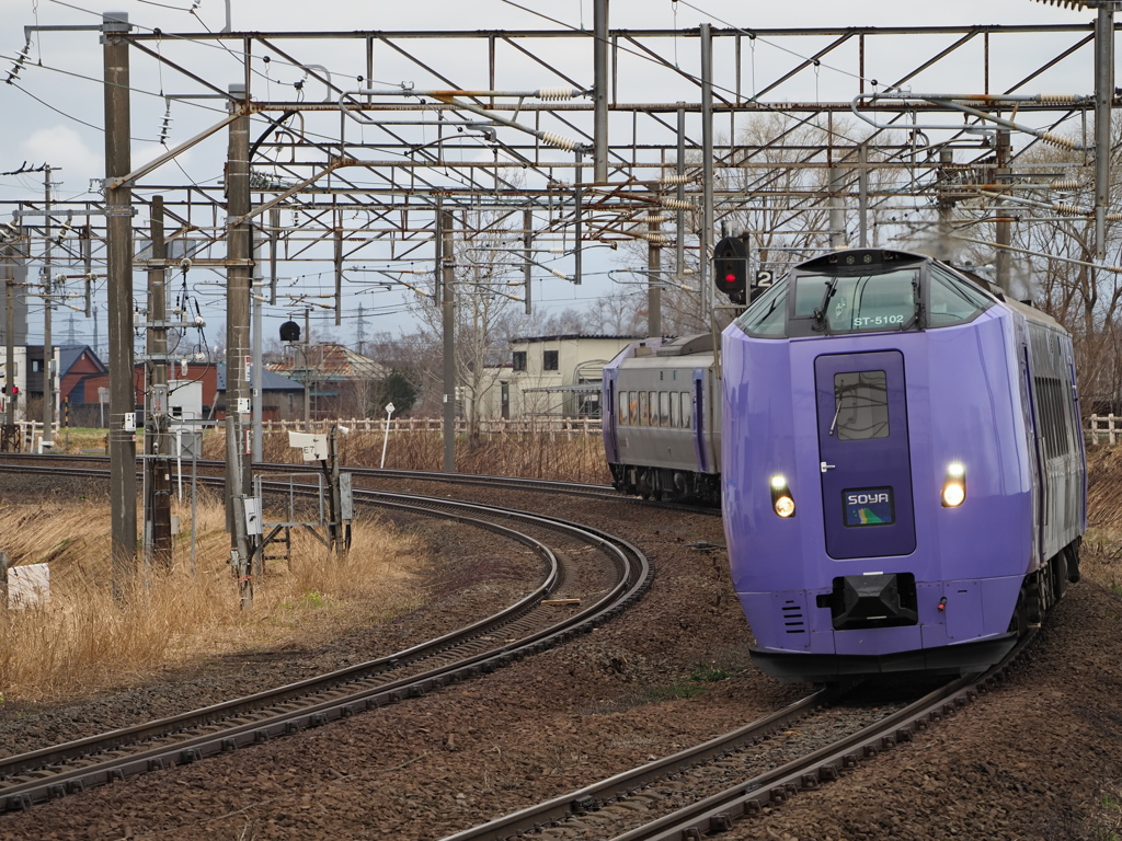 2023.04.09のラベンダーな宗谷