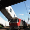 DF200ｰ114