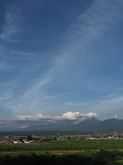 とある日の富良野