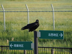んっ？