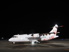 夜に咲くハイビスカス