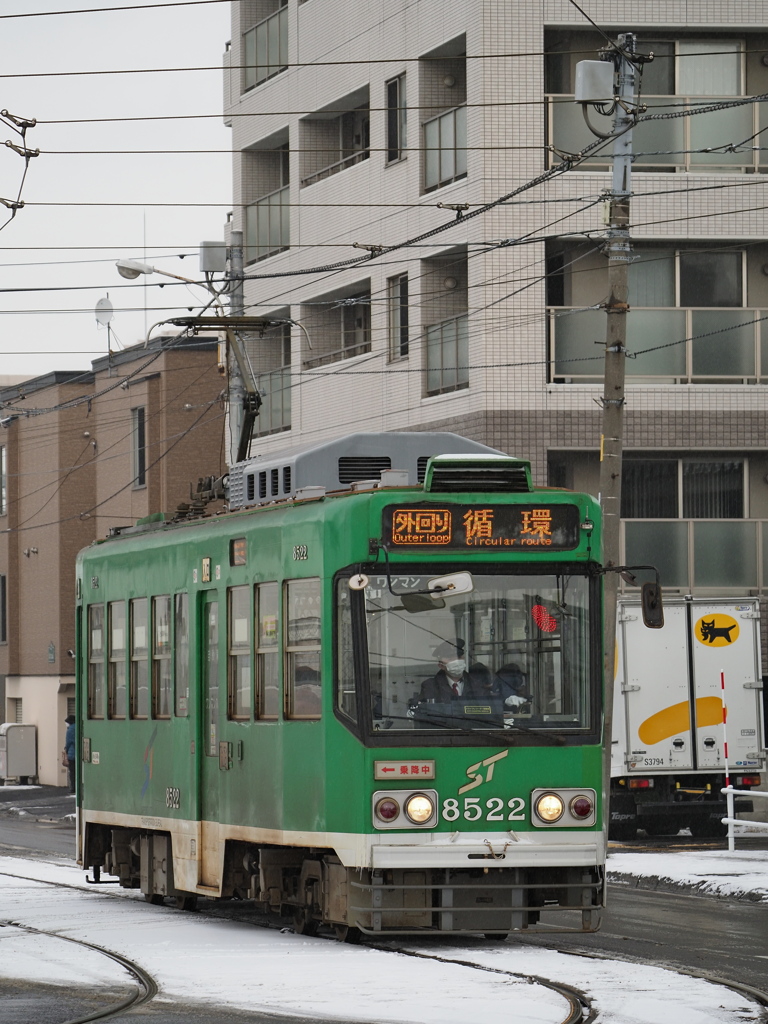 どんぐり側から