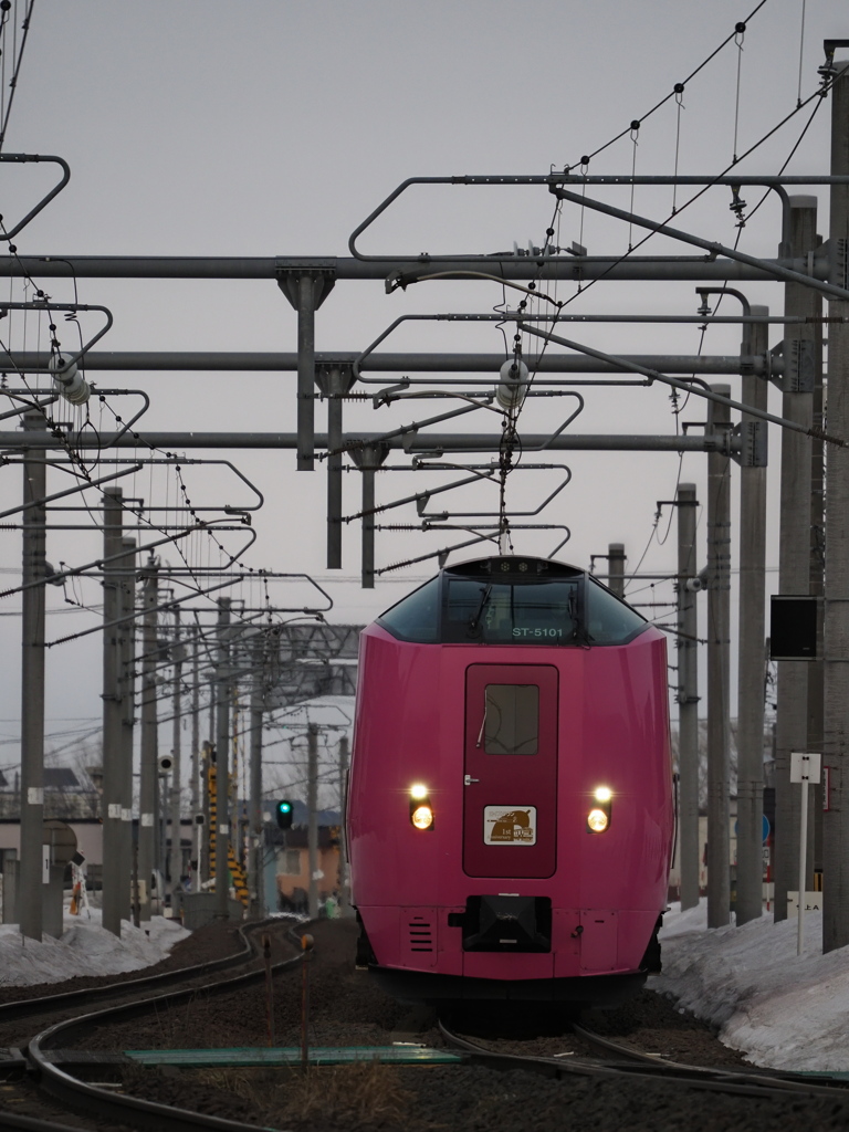 続・近所にはまなす編成がやってきた！