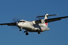 だって、空が青いのサ