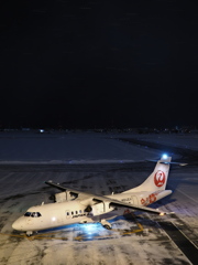 丘珠の夜に咲くハイビスカス