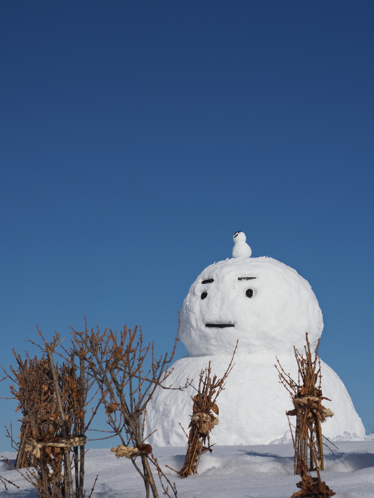 青空の下