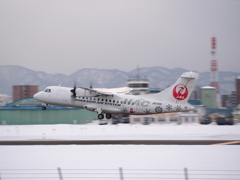 2021.01.17の飛んでった