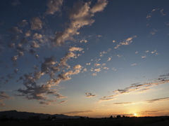 2025.07.09緑地からの夕陽