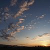 2025.07.09緑地からの夕陽