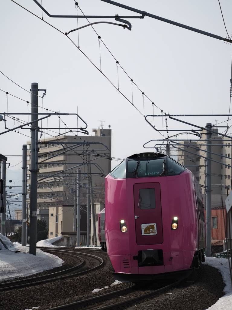 近所にはまなす編成がやってきた！