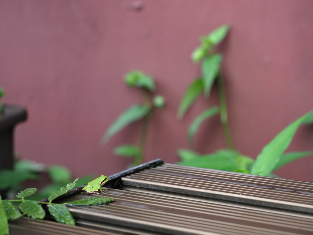 視線の先には何がある？