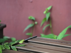 視線の先には何がある？