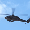 2025.01.28のUH60L