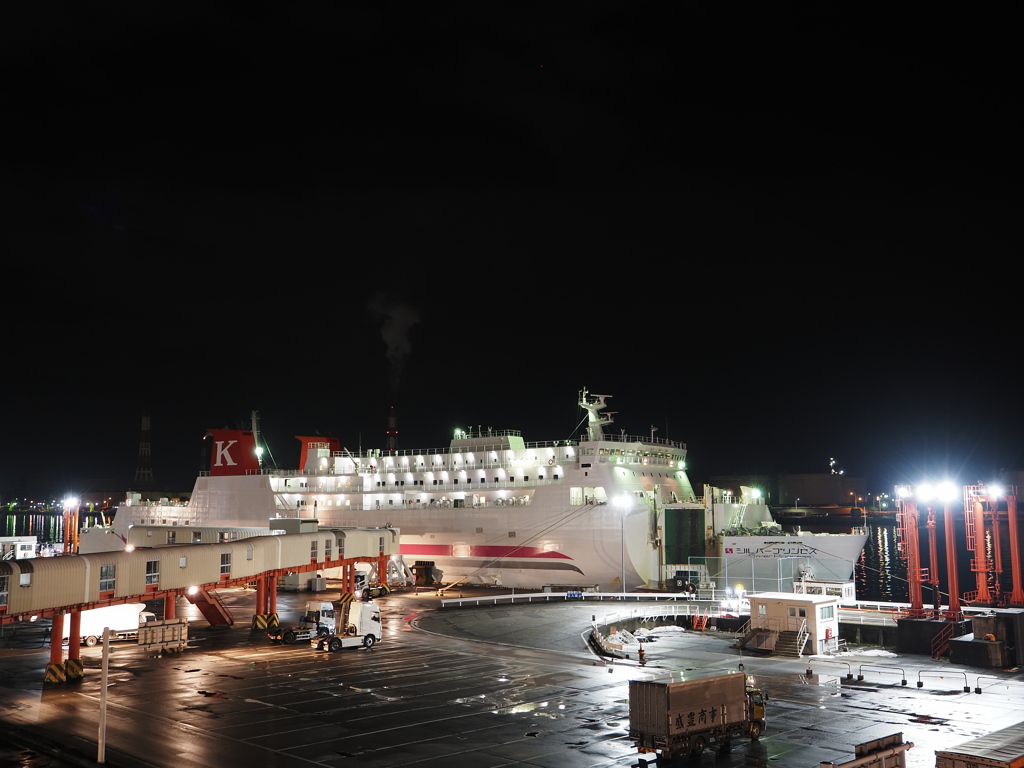 苫小牧西港＆シルバープリンセス